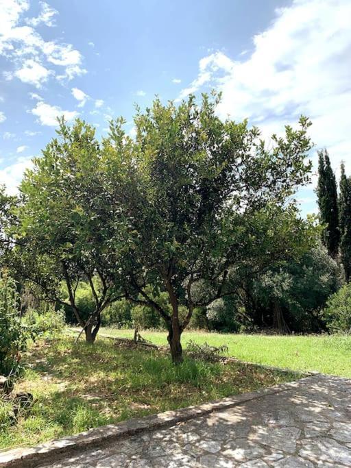Peggy'S Nautical Gem, Corfu Villa Kompitsion ภายนอก รูปภาพ
